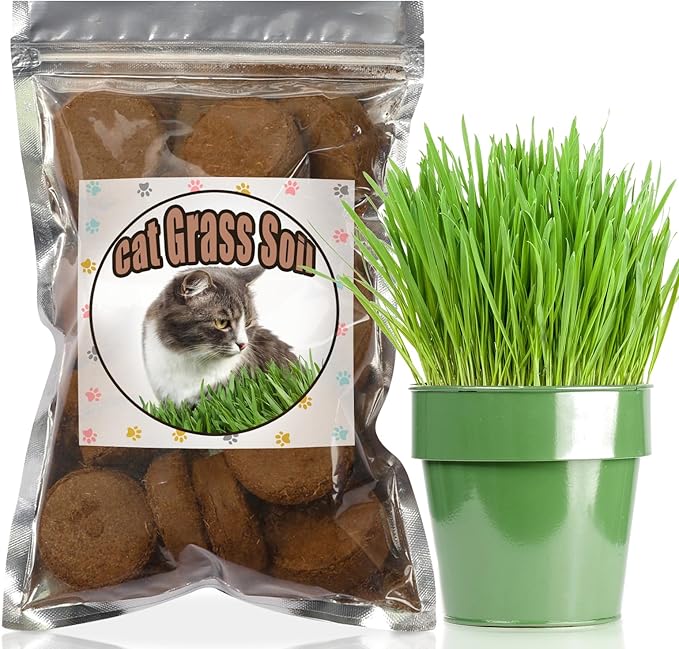Organic Potting Soil for Indoor Cat Grass, Great Seedling Soil for Wheat Grass, Bermuda, Catnip, and All Indoor Herb Plants