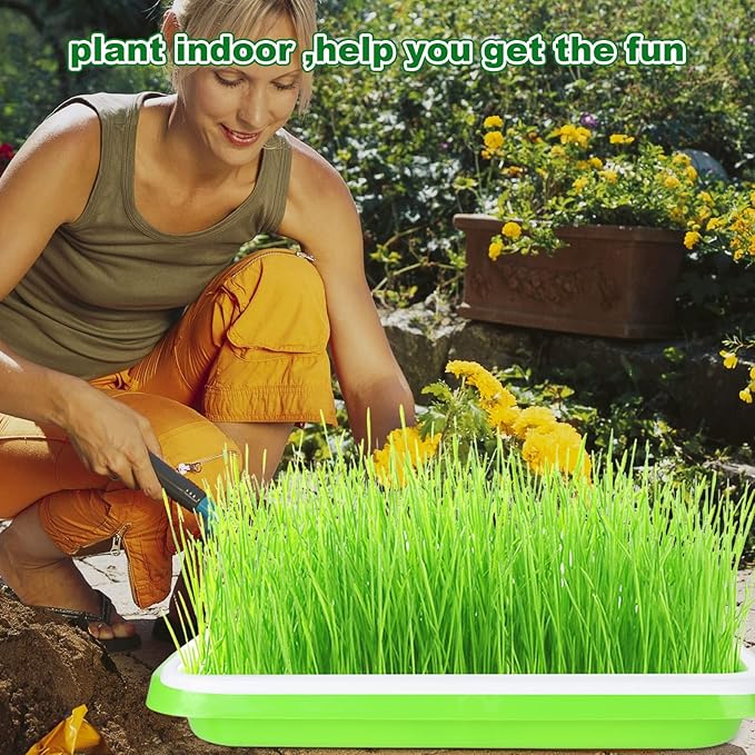 SHUESS 6 Pack Seed Sprouting Tray with Drain Holes BPA Free Nursery Tray Microgreens Growing Trays Wheatgrass Grower Sprouting Container Seed Germination Propagation Trays for Garden Home Office