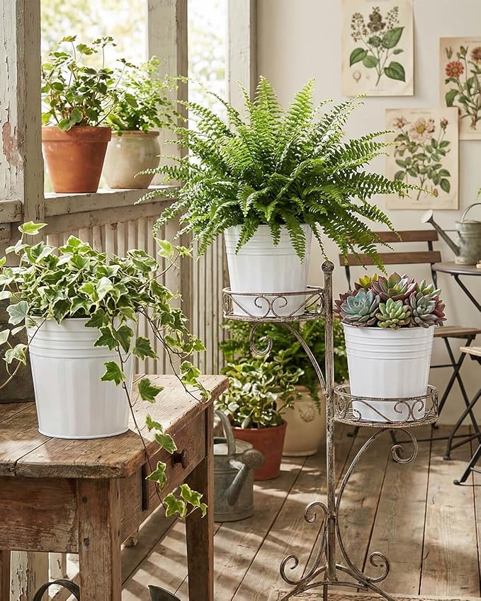 6 Inch White Metal Rustic Flower Pots - 6Pcs Galvanized Planters with Drainage Hole and Rubber Plug, Rustproof Metal Bucket Plant Pots Farmhouse Vintage Style for Decor