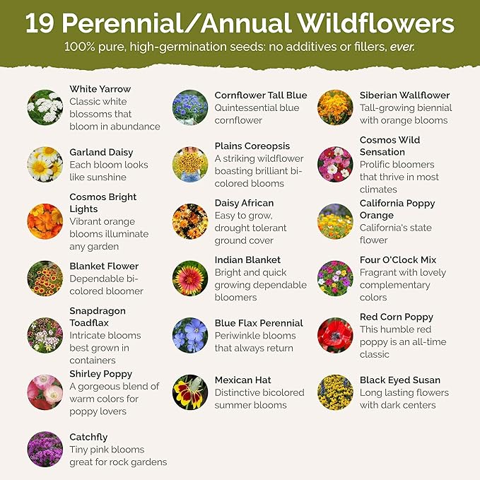 Eden Brothers Arizona Wildflower Mixed Seeds for Planting, 1 oz, 30,000+ Seeds with Yarrow, Cosmos, Indian Blanket | Attracts Pollinators, Plant in Spring or Fall, Zones