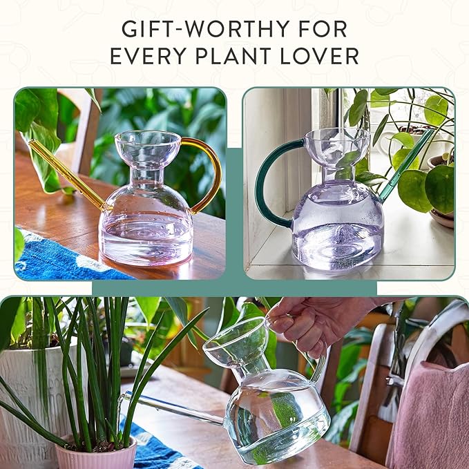 Modern Sprout Plant Watering Can - Handcrafted from Borosilicate Glass - Long Spout Vessel for Indoor Plants - 32 Oz Capacity - Multipurpose Watering Can & Flower Vase for Houseplants (Purple/Emerald)