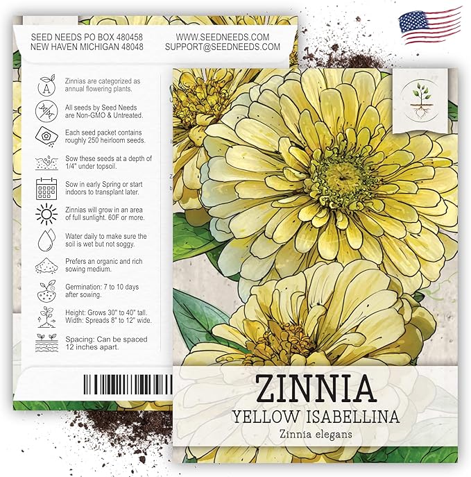 Seed Needs, Yellow Isabellina Zinnia Seeds - 250 Heirloom Seeds for Planting Zinnia elegans - Annual Cut Flowers to Grow in a Butterfly Garden Outdoors (1 Pack)