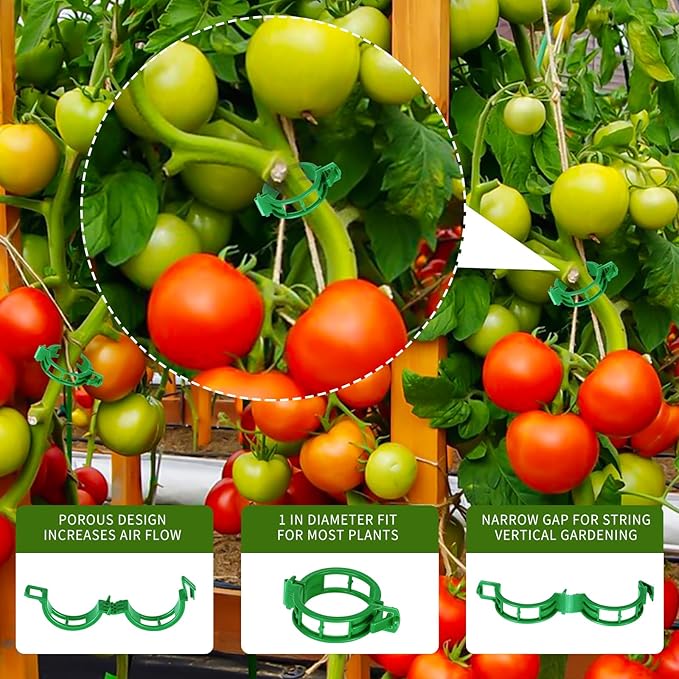 60Pcs Tomato Hooks with String with 33.3ft Twine & Tomato Clips, Tomato Holder Hooks to Prevent Tomatoes from Pinching or Falling Off（Green）