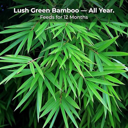Bamboo Special 12 Month Control Release 13-5-11 High Nitrogen Fertilizer - 2 Pound Package