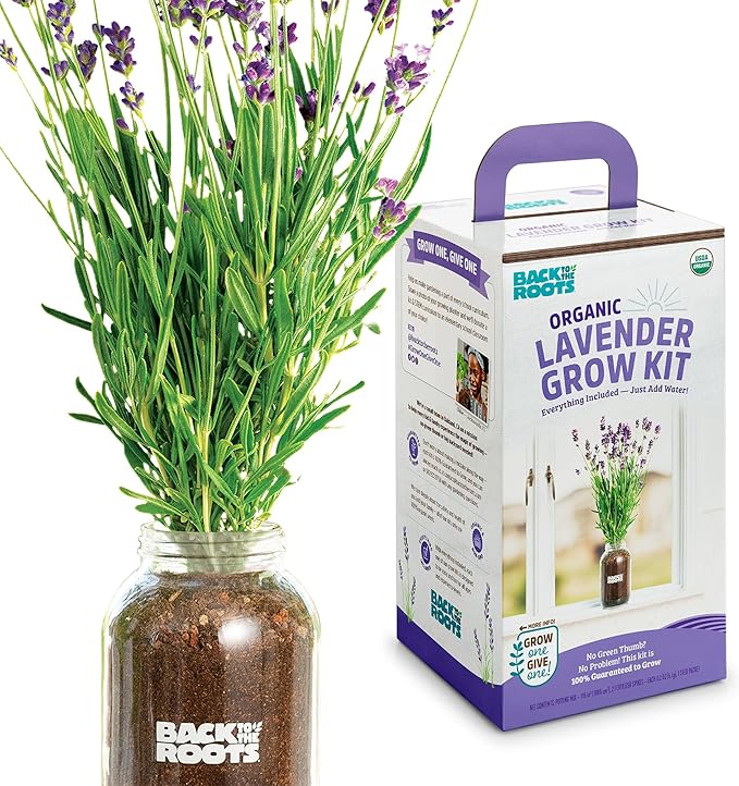Back to The Roots Windowsill Planter: Lavender