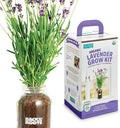 Back to The Roots Windowsill Planter: Lavender