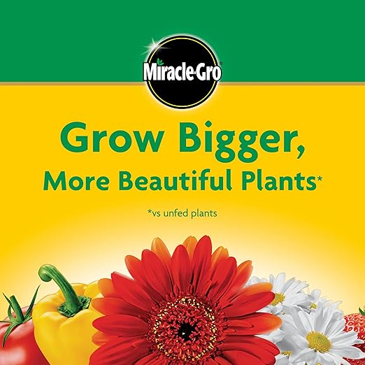 Miracle-Gro Water Soluble All Purpose Plant Food - Fertilizer For All Indoor or Outdoor Plants including Roses, Flowers, Vegetables, Houseplants, Trees, and Shrubs, 1.5 lbs.
