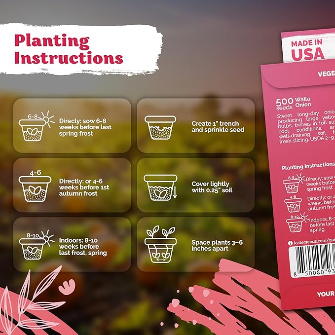 KVITER 500 Walla Walla Onion Seeds for Planting (Allium cepa) – Long Day Sweet Onions Gardening Seeds – Non GMO Heirloom Vegetable Seed Packets, Outdoor & Indoor Gardening, Home Garden, Raised Beds