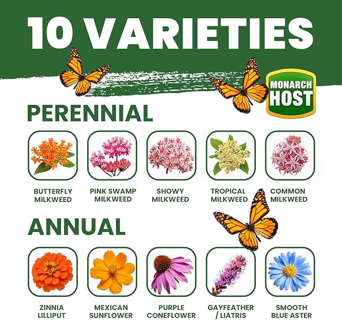 Milkweed Seeds for Monarch Butterflies – Wildflower Seeds Mix 18000+ Seeds (1.76 oz), Perennial Pollinator Garden Flowers, Attract Bees, Butterflies & Hummingbirds, Easy to Grow