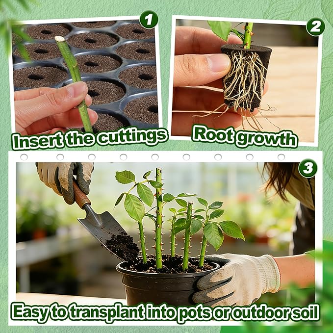 Bigmeta 100 Pcs Rooting Sponges, Starter Plugs for Seedlings or Cuttings, Rapid for Soil, Tray or Planting Pods Plant Rooter, Promotes Herbs Vegetable Flowers Growth