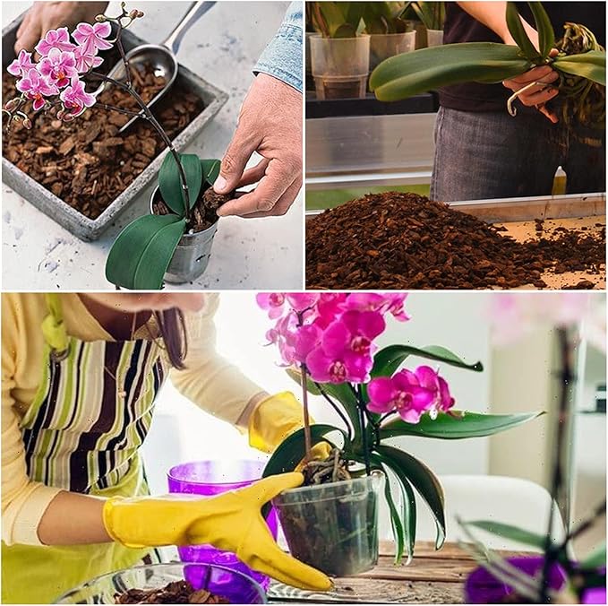 Orchid Potting Mix Orchid Bark, Mix Pine Bark and Perlite, Good Drainage and Water Retention (1 Quart)