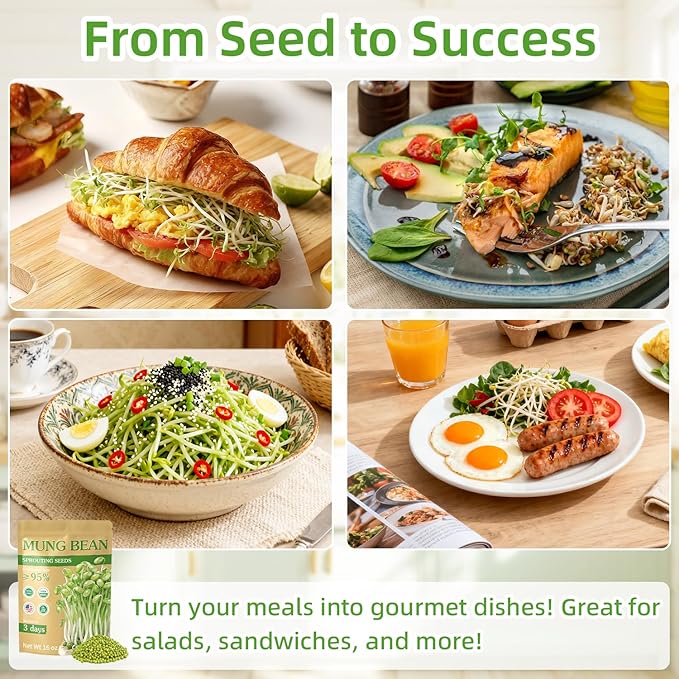 Organic Mung Bean Sprout Seeds (16 oz), Certified Non-GMO, Heirloom Seeds, Premium Mung Bean Sprouting Seeds for Sprouting and Microgreens, High Yield High Germination, Resealable Bag
