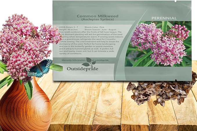 Outsidepride Common Milkweed Seeds - 100 Pcs Perennial, Heat & Humid Tolerant, Pollinator-Friendly Wildflower Seeds, Ideal for Monarch Butterflies, Cut Flowers, Borders, or Meadows