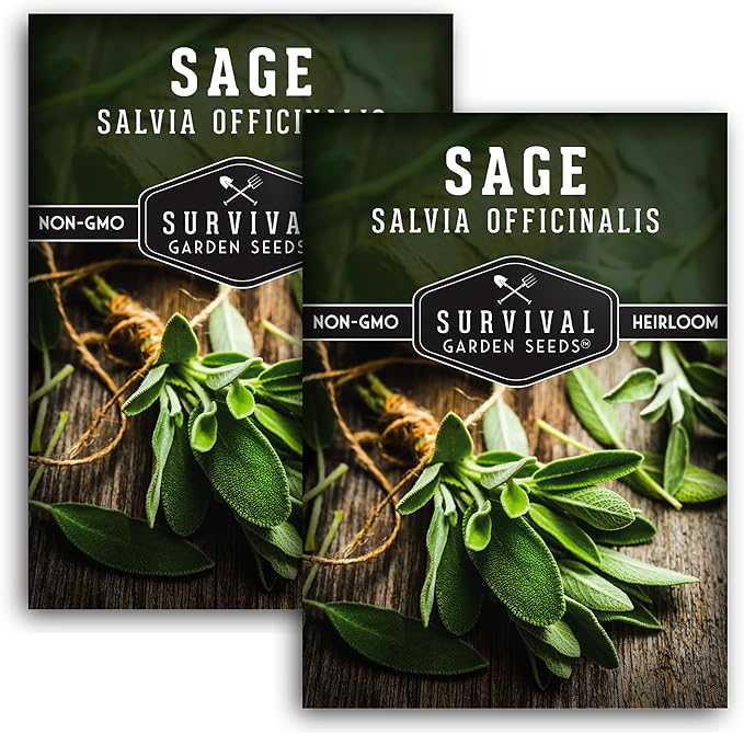 2 Packs Culinary Sage Seed for Planting - Packet with Instructions to Grow Salvia Officinalis Herbs in Your Home Vegetable Garden - Non-GMO Heirloom Variety - Survival Garden Seeds