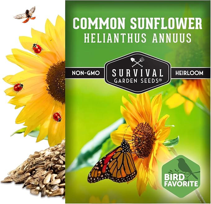 Common Sunflower (Helianthus annuus) Seeds for Planting | Giant Bird & Pollinator Magnet | Fast-Growing Native Wildflower - Survival Garden Seeds - 1 Pack
