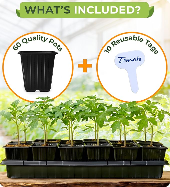 CARPATHEN 60Pack Square Nursery Pots - 3.5 Inch Seedling Plant Pot with Drainage Holes - Reusable Seed Starter Pots for Flowers, Vegetables, Greens - Includes 10 Plastic Reusable Tags