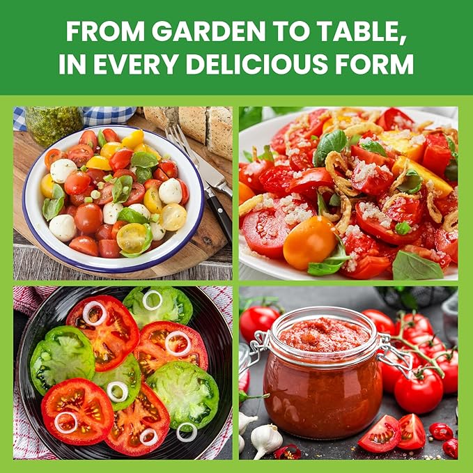 10 Pack Heirloom Tomato Seeds Variety Pack -5000+ Non-GMO Garden Seeds for Planting Outdoors & Indoor Home Gardening Gift, Cherry, Yellow Pear Tomatoes & More