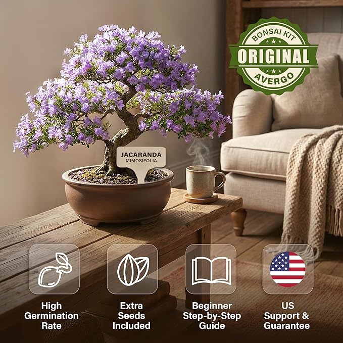 Bonsai Starter Kit – Growing Jacaranda Bonzai Tree | Complete Indoor Tree Kit for Growing Plants with Tools & Planter – Gardening Gifts for Mother, Women & Men