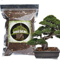 Bonsai Soil Mix Ready to Use (1qt), Premium Fast Draining Organic All Purpose Potting Mix for All Varieties of Bonsai