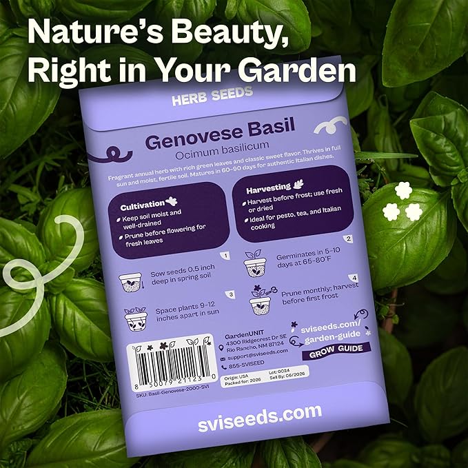 SVI 2000 Genovese Basil Seeds (Ocimum basilicum) – Sweet Basil Seed Packets – Aromatic Non GMO Heirloom Large Leaf Culinary Herb Seeds, Outdoor & Indoor Herb Garden