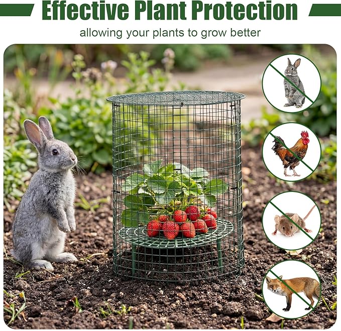 BreezeHug 6 Sets Plant Protectors from Animals with Strawberry Supports, 12x14 Inch Wire Plants Protector Cages with Detachable Covers & Zip Ties & Stakes for Strawberry Flower Vegetable Protection