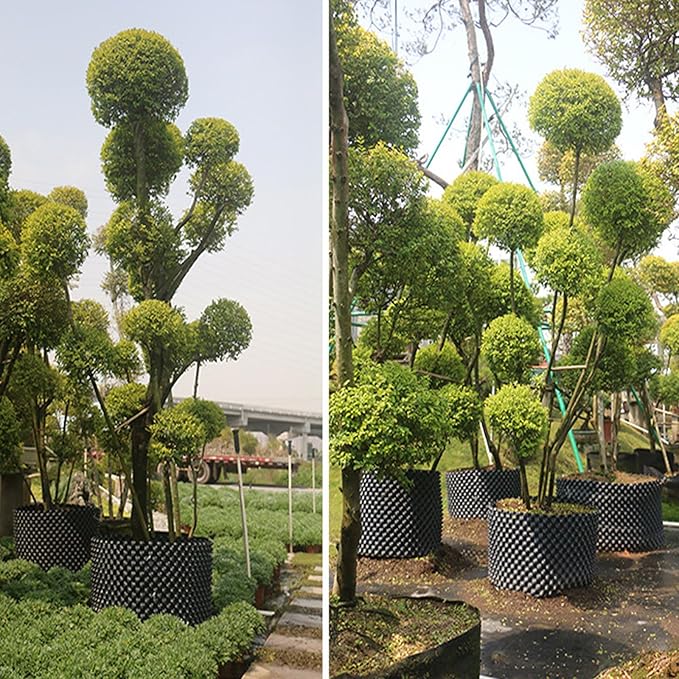 Air Pruning Containers, Thickened PVC Plant Root Trainer, Transplant Tool for Vegetables, Fruit Trees, Bonsai & Hydroponics (Black,H30cm L500cm)