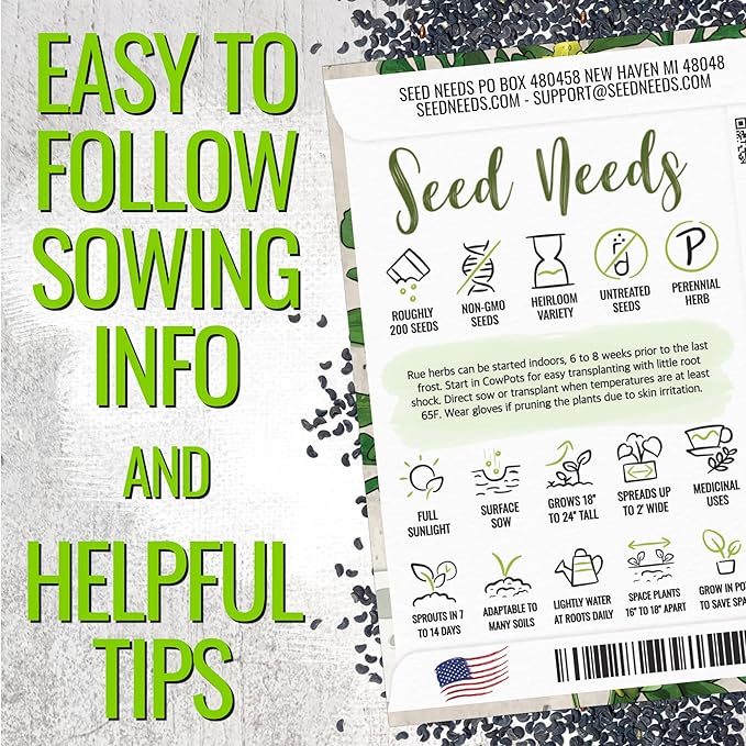 Seed Needs Rue Seeds for Planting - Non-GMO Heirloom & Untreated Perennial Herb Seed to Plant a Home Grown Medicinal Garden Indoors or Outdoors (2 Packs)