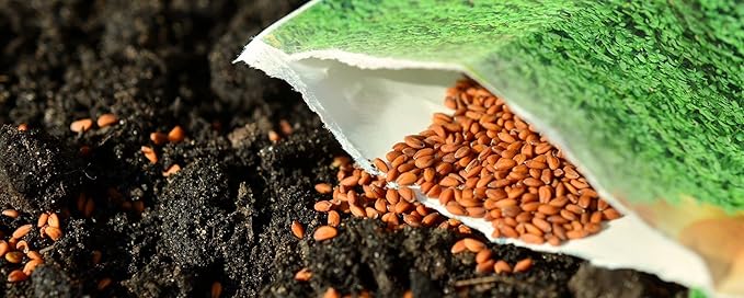 'Super Soil Organic Concentrate