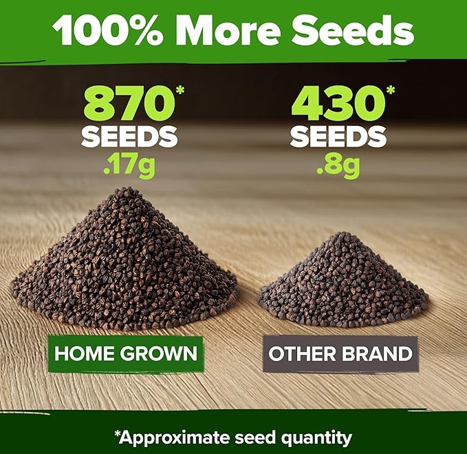 HOME GROWN Mint Seeds Variety Pack - 870+ Heirloom Non-GMO USA Peppermint, Spearmint & More - Herb Seeds for Planting Indoor Outdoor Garden - Fresh Mint for Tea & Cooking