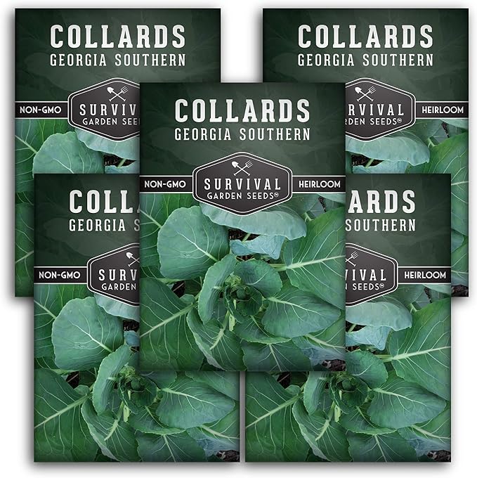 Collard Green Seeds for Planting | Georgia Southern Heirloom Non-GMO Variety | Leafy Greens for Home Vegetable Gardens - Survival Garden Seeds (5 Packs)