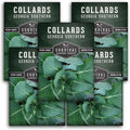 Collard Green Seeds for Planting | Georgia Southern Heirloom Non-GMO Variety | Leafy Greens for Home Vegetable Gardens - Survival Garden Seeds (5 Packs)