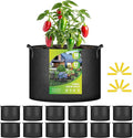 iPower 12-Pack 10 Gallon Grow Bags Heavy Duty Thickened Aeration Nonwoven Fabric Pots with Nylon Handles and 12 Labels for Planting Vegetables, Fruits, Flowers, Black