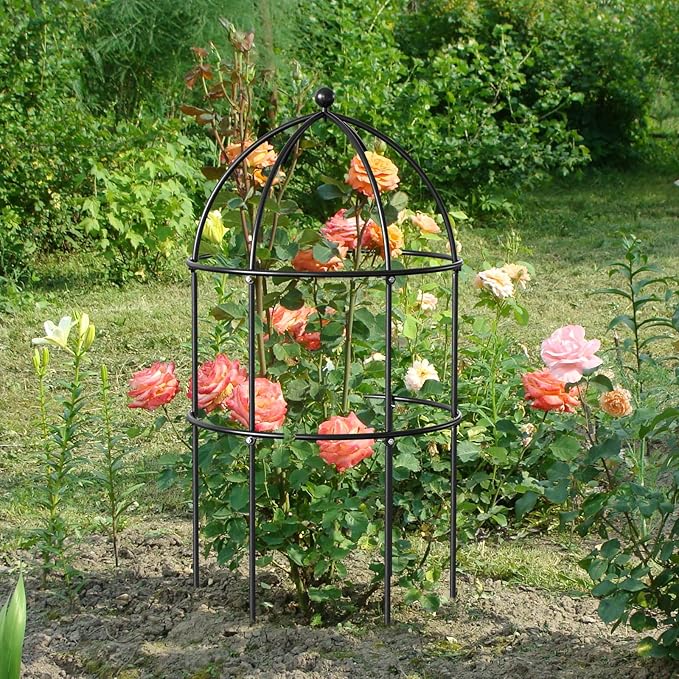 DoCred 6 Pack Plant Support Cage Large Peony Cages and Supports Peony Cage Obelisk Trellis for Climbing Plants Tomato Cages Plant Supports for Outdoor Plants Garden Decor, Black