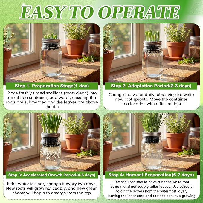 Seed Sprouting Set Green Onion Regrower Kit Includes Regrower Sprouting Lids and a Mouth Mason Jar for Sustainable Windowsill Gardens and Hydroponics for Growing Broccoli and Beans (Black)