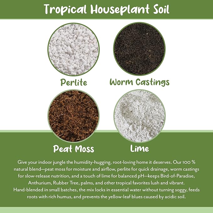 Soil Sunrise Tropical House Plant Potting Mix (12 Quarts); for All Types of Indoor House Plants