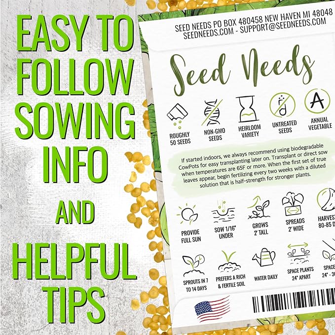 Seed Needs Tomatillo Seeds for Planting Grande Rio Verde Tomatillos - Non-GMO Heirloom & Untreated - Grow a Home Grown Outdoor Vegetable Garden - Great for Salsa & Mexican Cuisine (1 Pack)