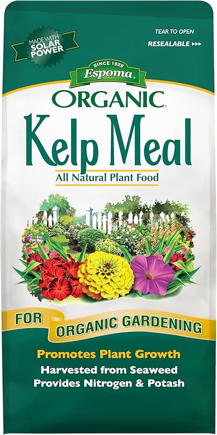 Espoma Organic Kelp Meal 1-0-2 Plant Food and Soil Conditioner; All-Natural Cold-Water Seaweed from The Atlantic Ocean with no fillers or additives. 4 lb. Bag Pack of one