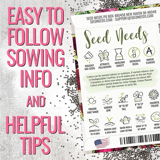 Seed Needs Coleus Seeds for Planting Rainbow Painted Nettle - Heirloom & Open Pollinated Mixed Flower Seed to Grow an Outdoor Butterfly Garden to Attract Pollinators (2 Packs)