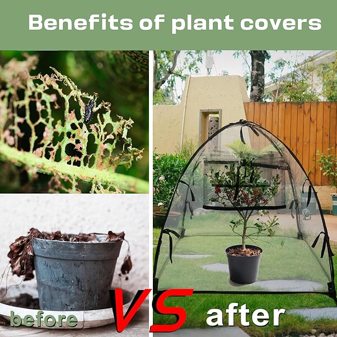 Plant Tent Freeze Protection, Winter Plant Cover Freeze Protection 36" x 36" x 38"Clear Outdoor Garden Frost Cover, Transparent Waterproof Freeze Tent for Outdoors Potted Plants, 1 Pack