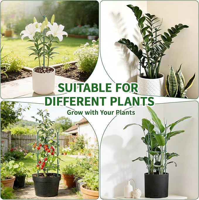 30Pcs Plant Stakes for Indoor Plants, Stackable Monstera Stake with Stem Supports & Garden Wire for Monstera, Pothos, Money Plant, Outdoor Plants
