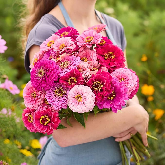 Eden Brothers Zinnia Seeds - Art Deco Mix, Non-GMO Seeds for Planting, Packet | Low-Maintenance Flower Seeds, Plant During Spring, Zones 3, 4, 5, 6, 7, 8, 9, 10