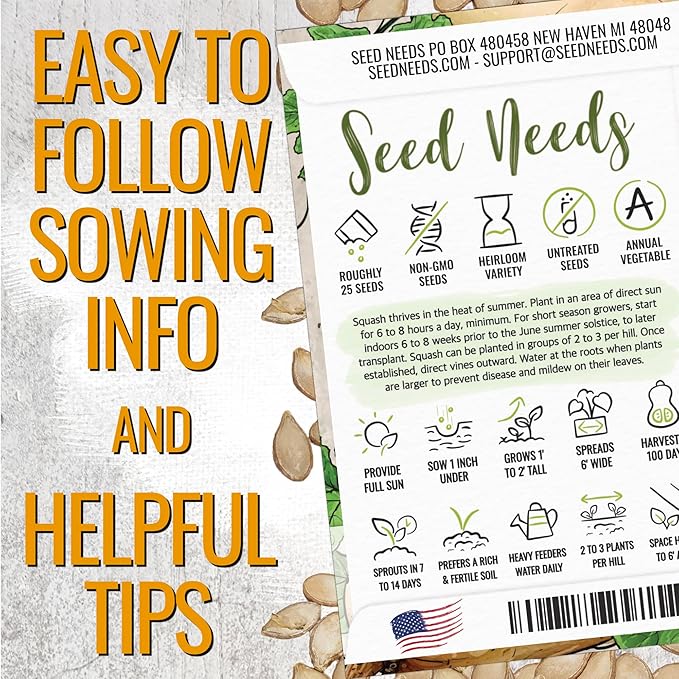 Seed Needs Waltham Butternut Squash Seeds for Planting - Non-GMO Heirloom & Untreated Summer Squash to Plant a Home Grown Outdoor Vegetable Garden (5 Packs)