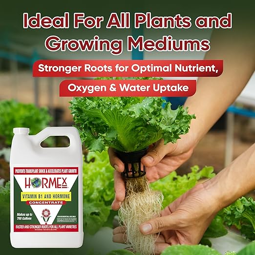 Hormex Liquid Rooting Hormone Concentrate with B1 – Root Growth Stimulator for Strong, Healthy Plants - Prevents Transplant Shock - Houseplants, Gardens, Hydroponics, Trees, Fruits & Vegetables, 128oz