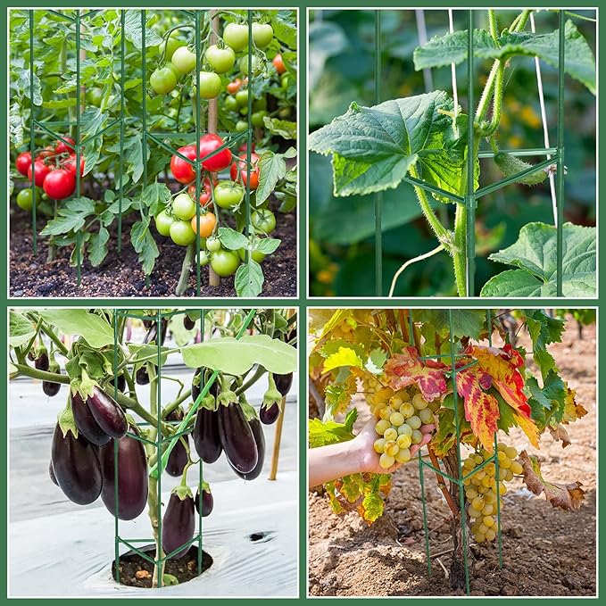 Sunnyray 15 Pack Tomato Cages for Garden 48 Inch Metal Tomato Cages Heavy Duty Plant Supports Assembled Garden Trellis Stakes with Adjustable Snap Arm for Climbing Plant Vegetable (Green)