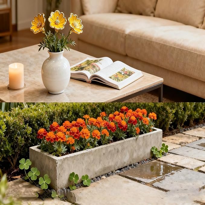 1000+ Marigold Seeds for Planting, Mixed Color Marigold Seeds Heirloom Garden Flower, Flower to Plant Open Pollinated Annual Flowers for Vibrant Annual Blooms Pots Outdoor Garden