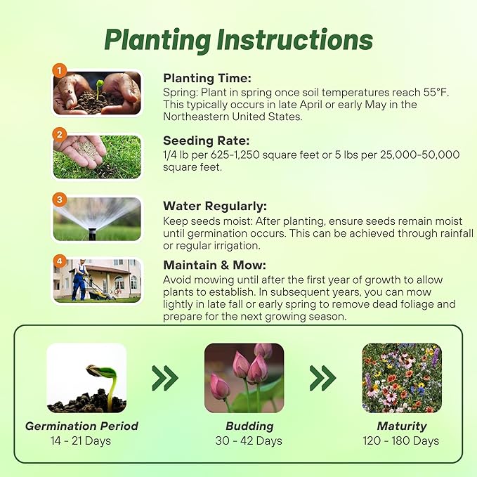 Outsidepride Northeast Wild Flower Seed Mix - 5 lbs Premium Blend of Vibrant Biennial & Annual Wildflower Seeds for Northeastern States, Ideal for Meadows, Borders & Gardens, & Attracting Pollinators