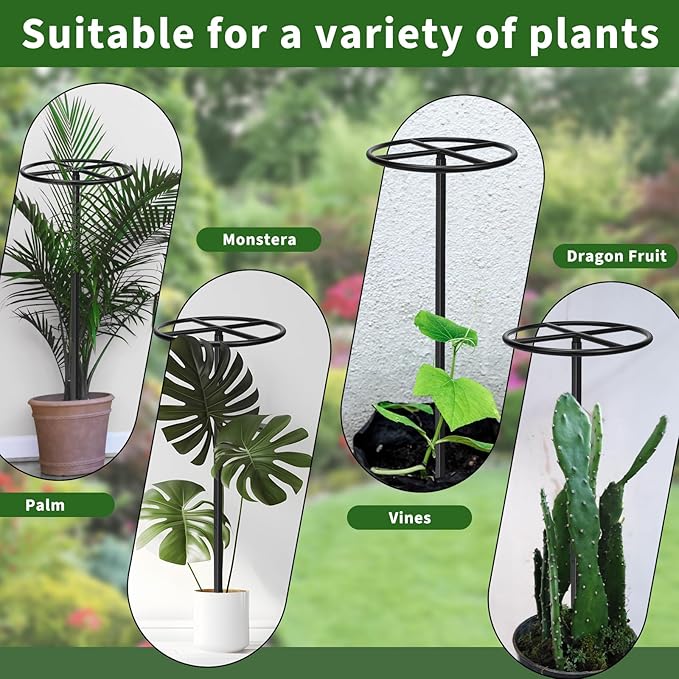 1 Pcs Adjustable Round Metal Dragon Fruit Plant Trellis 12" x 12" x 50" Durable Vertical Support Tower Plant Cage for Gardening Climbing Plants Trees Cactus Outdoor Garden, Installation Required