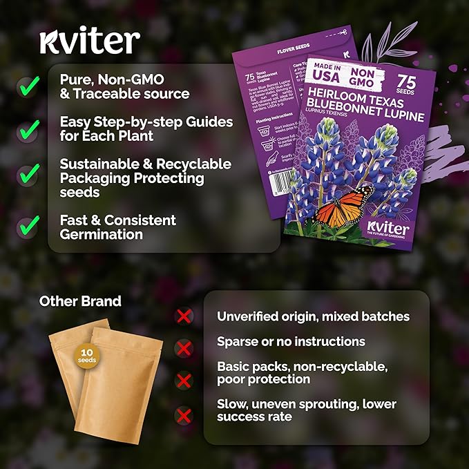 KVITER 75 Texas Bluebonnet Seeds (Lupinus Texensis) - Texas Lupine, Pollinator Friendly Wildflower, Non GMO Heirloom Seed - Annual Flower Seeds in Seed Packets for Outdoor Garden, Beds and Borders