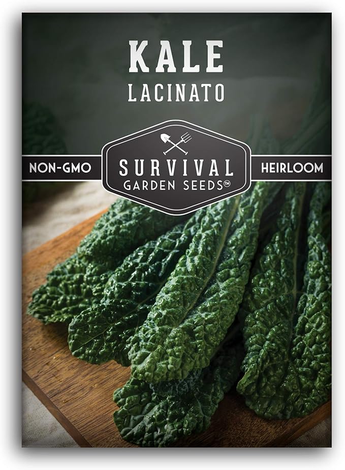 Lacinato Kale Seeds for Planting Outdoors or Indoors – Heirloom Dinosaur Tuscan Kale Variety – Cold Hardy Green for Fall & Spring Vegetable Gardens - Survival Garden Seeds (1 Pack)