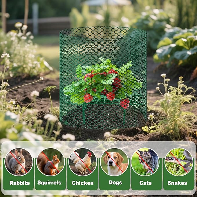 8 Set Strawberry Plant Support with Wire Plant Protectors from Animals, 32.8Ft x 16In Metal Mesh Plant Cage Cover Guards and Strawberry Growing Rack Sets for Garden Strawberry Vegetables Plants